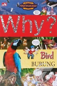 Image of Why? Bird