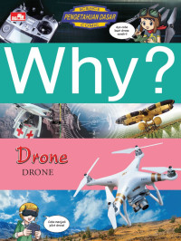 Image of Why? : drone